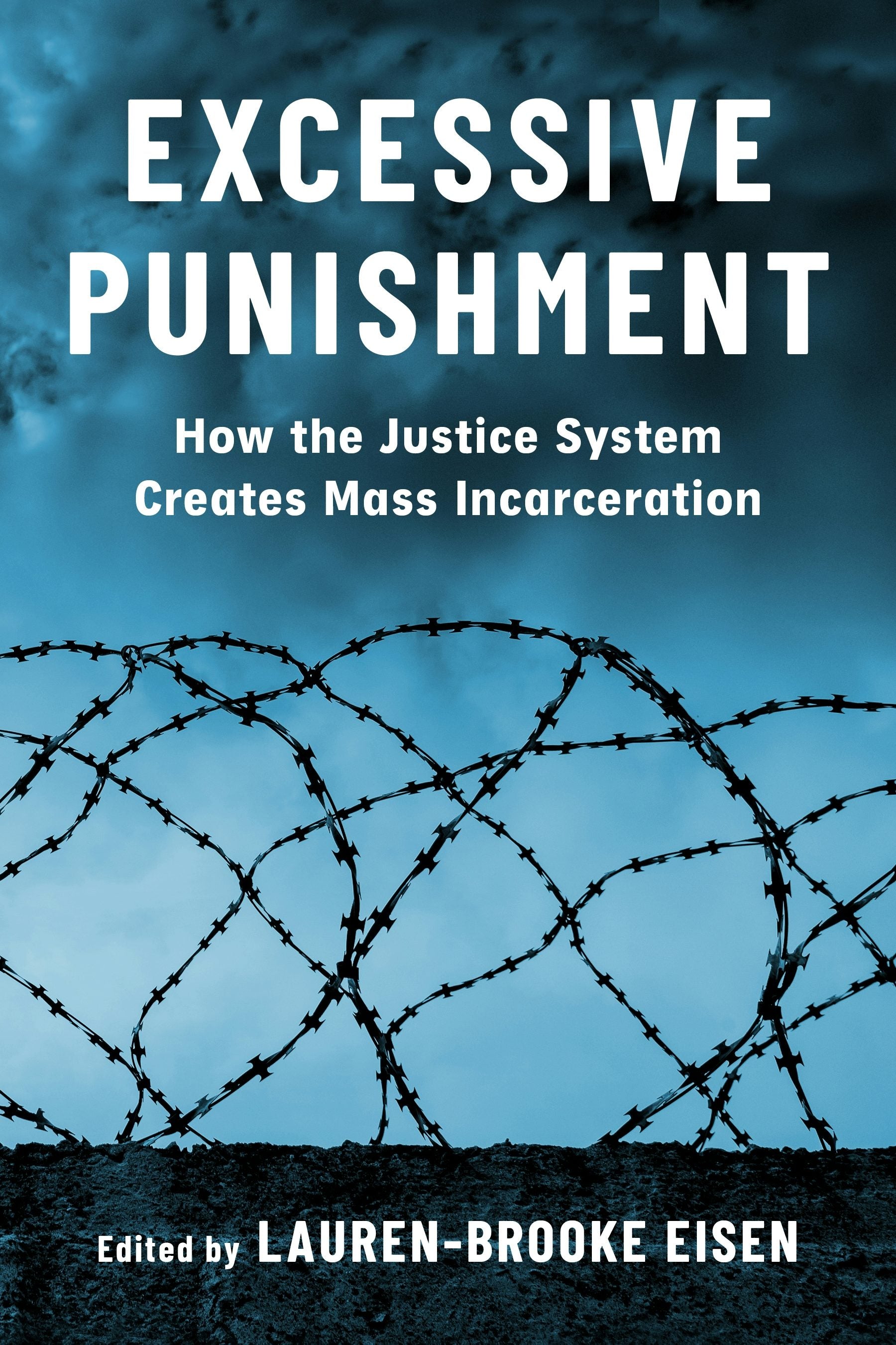 Book cover image for Excessive Punishment ISBN: 9780231212168